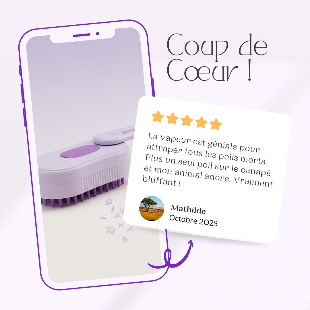 Brosse à Vapeur 2-en-1 – Nettoyage + Massage