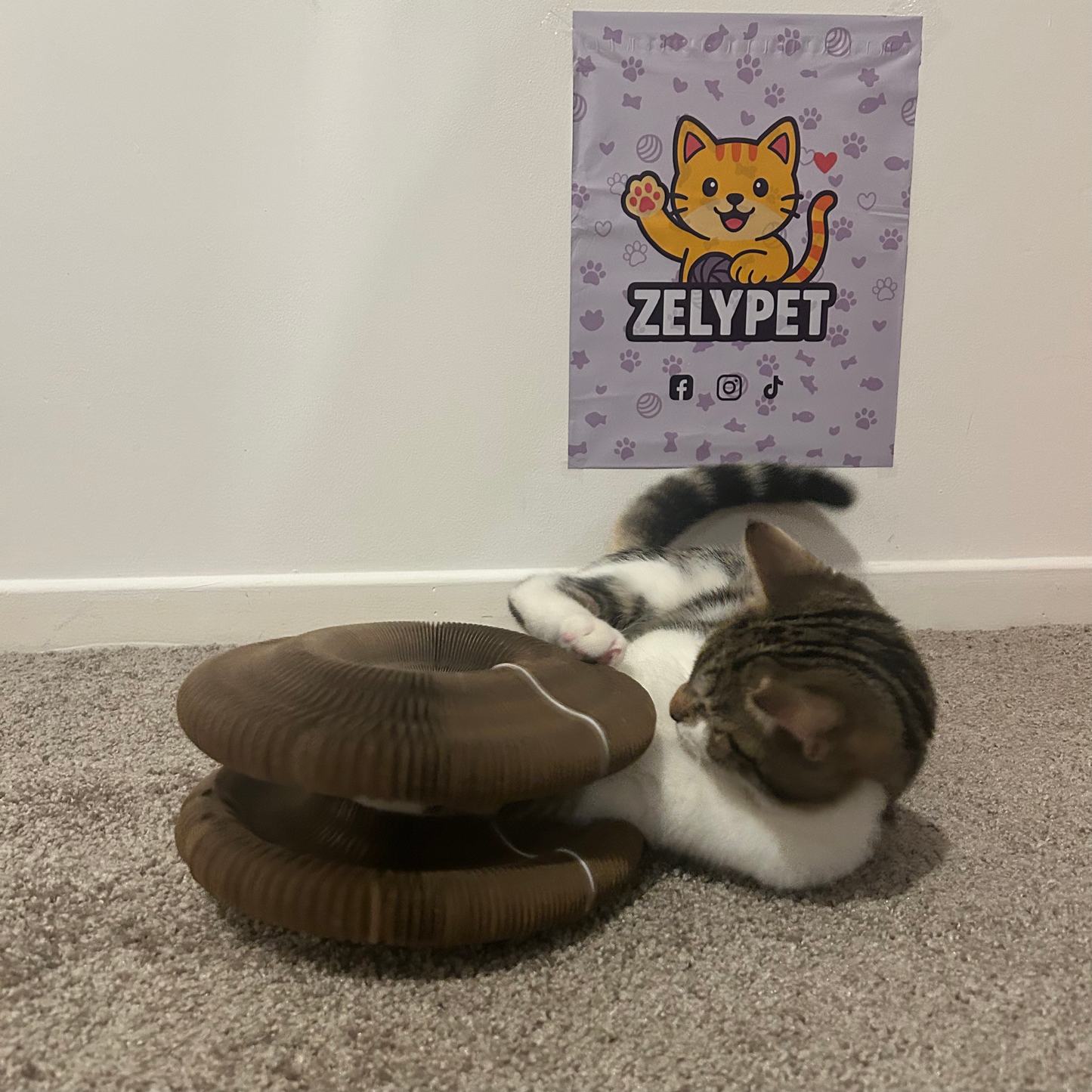 Griffoir Rond et Jouet Interactif