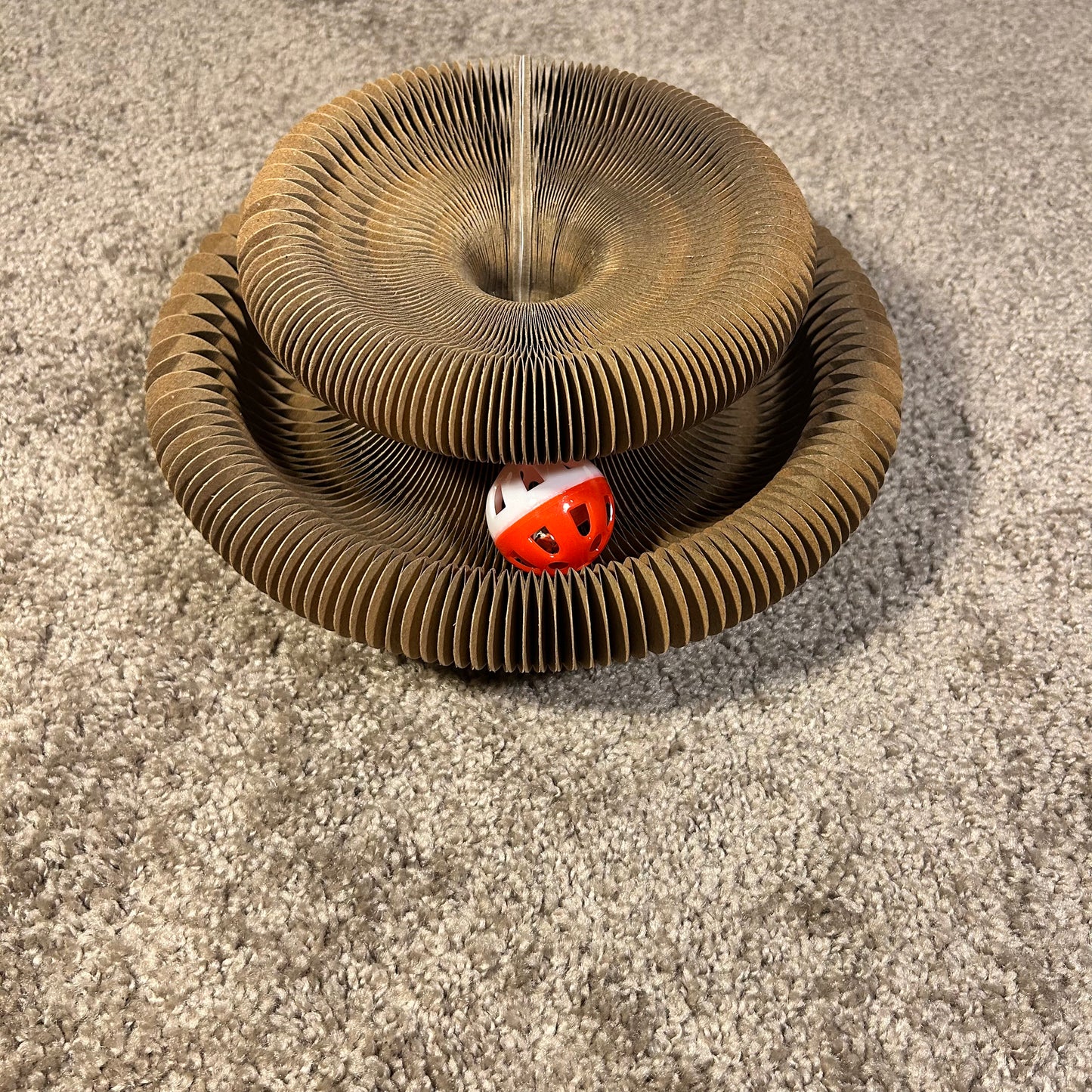 Griffoir Rond et Jouet Interactif