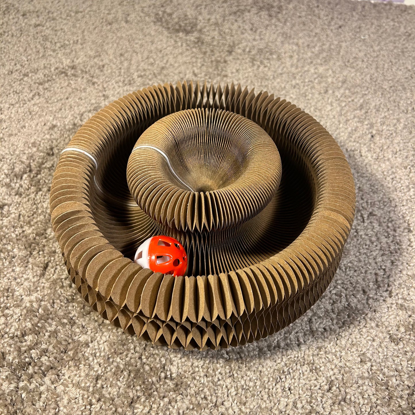 Griffoir Rond et Jouet Interactif