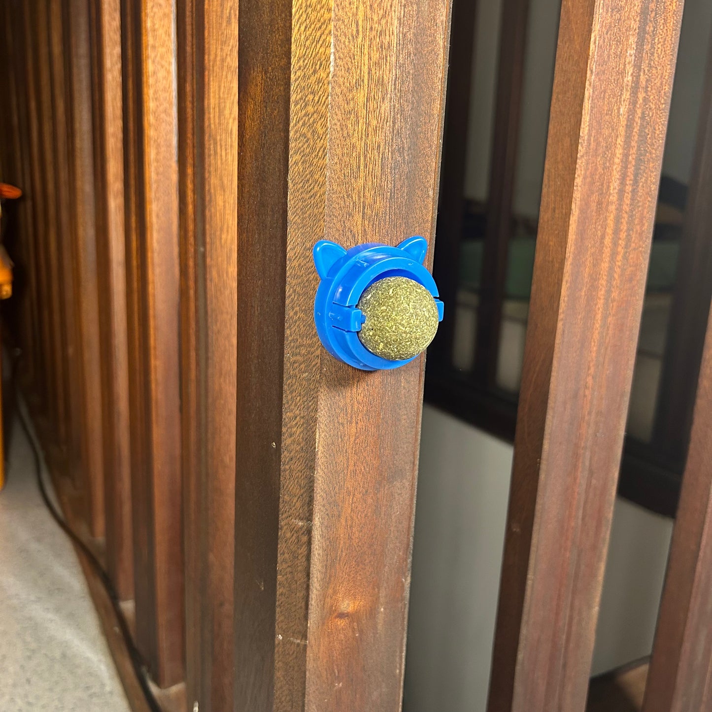 Balle à Herbe à Chat - Détente, Snack et Jouet