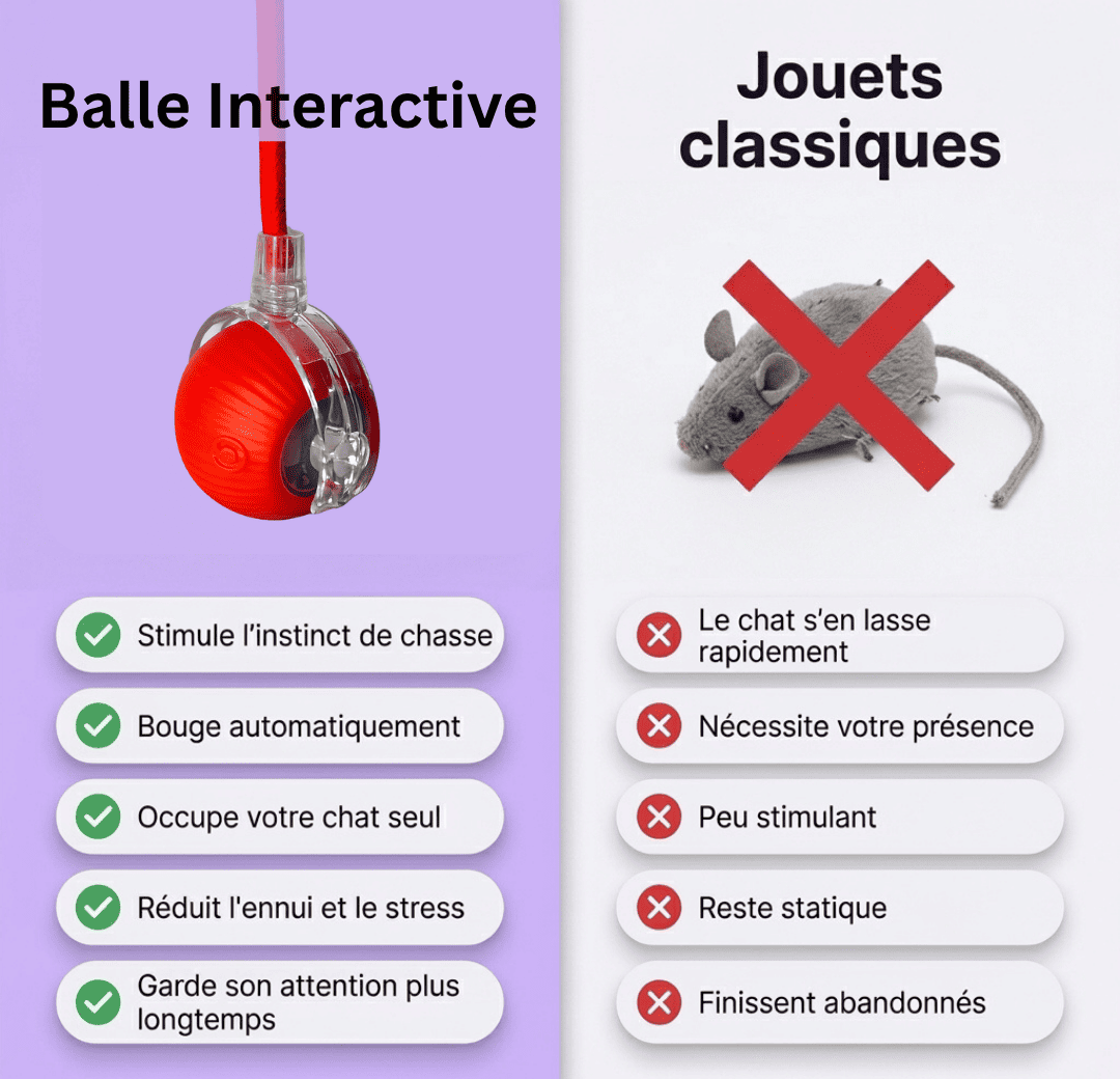 avantage balle interactive pour chat zelypet
