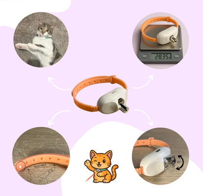 Collier Laser Automatique – Anti-Ennui