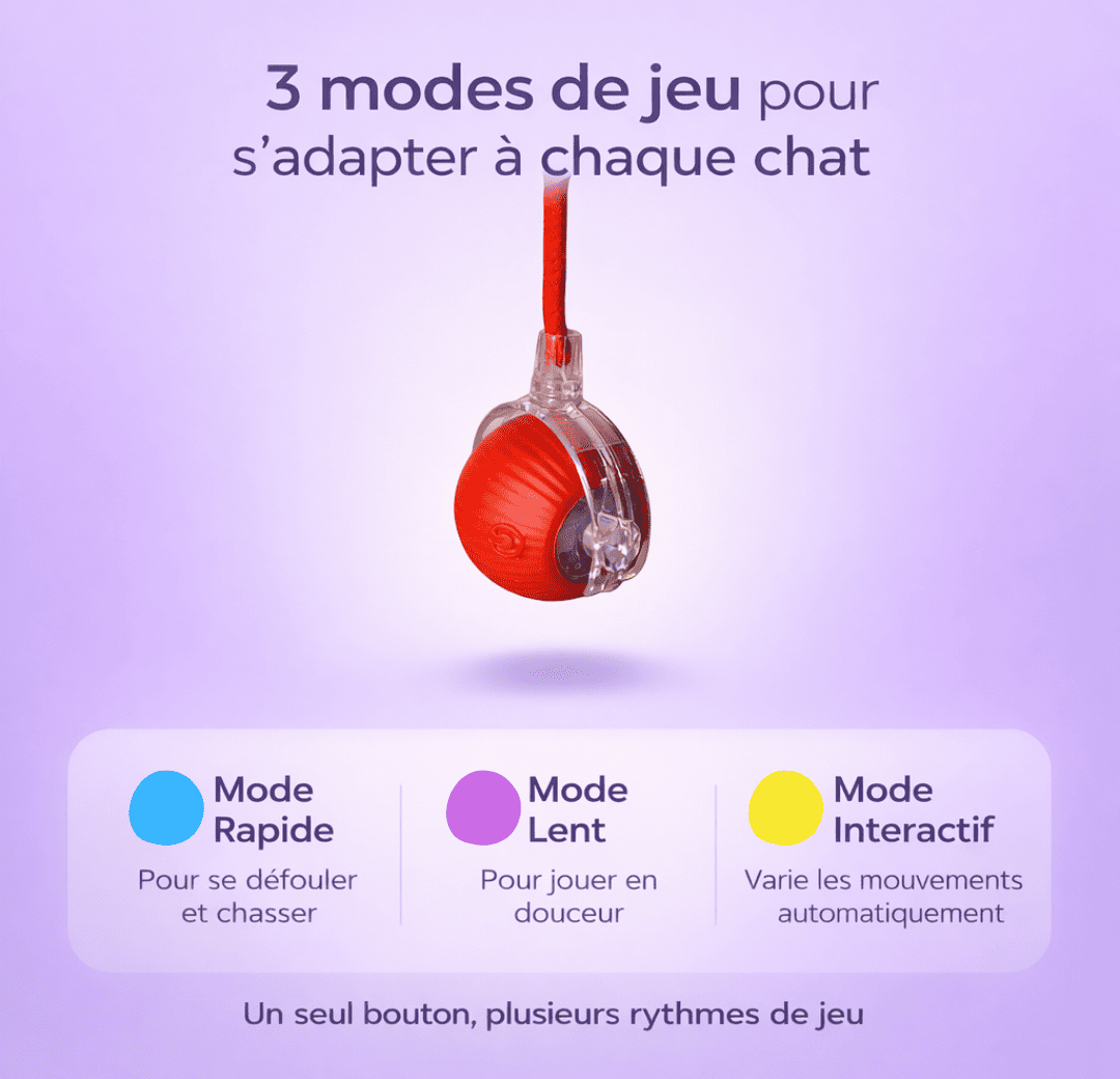 modes balle interactive