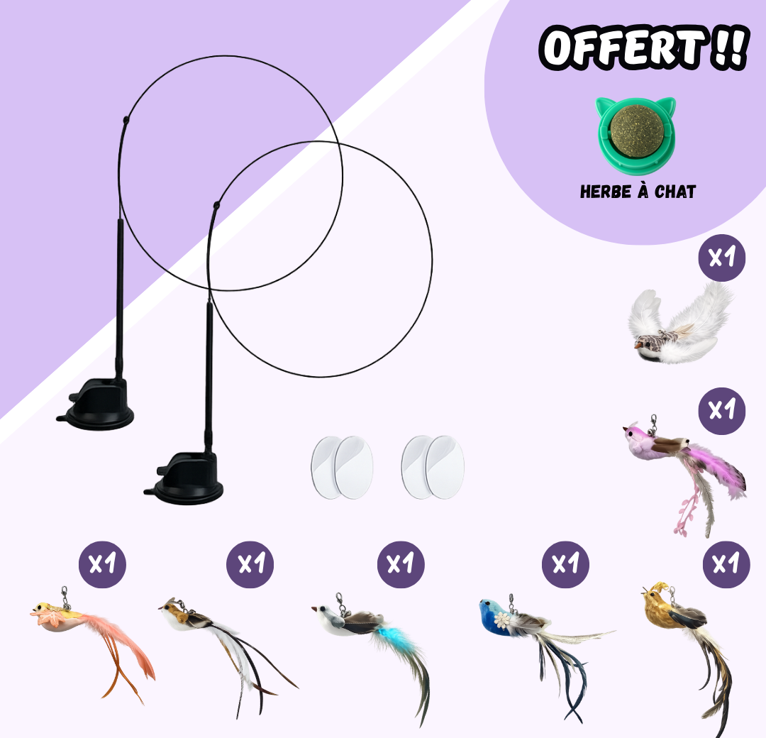jouet interactif ventouse avec oiseaux et herbe a chat